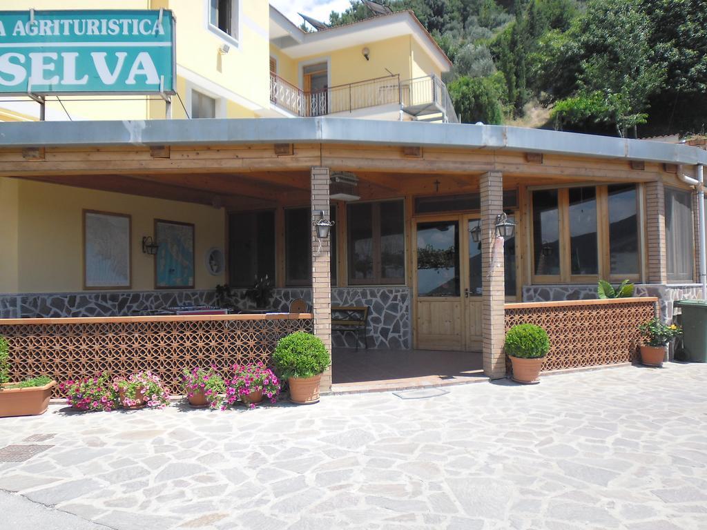 Agriturismo La Selva 카바드티레니 외부 사진